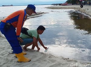 Tumpahan Minyak Cemari Pantai Monpera Balikpapan Sepanjang 1 Mil