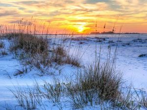 Tiru India, AS Ingin Naikan Harga Tiket Masuk ke Taman Nasional