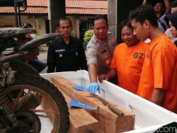 Tebang Pohon di Hutan Lindung, Dua Warga Tulungagung Diamankan