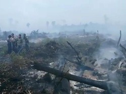 30 Hektare Hutan di Aceh Jaya Terbakar Diduga Akibat Pembukaan Lahan