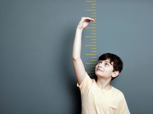 Tak Perlu Obat! 5 Makanan Enak Ini Bisa Bikin Tubuh Tinggi Semampai Tak Perlu Obat! 5 Makanan Enak Ini Bisa Bikin Tubuh Tinggi Semampai