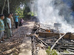 Kandang Ternak di Ciamis Ludes Terbakar, 3.700 Ayam Terpanggang