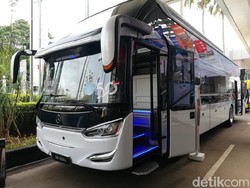Mau Coba Enaknya Rebahan di Sleeper Bus?