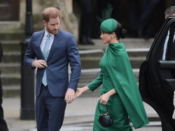 Setop Berburu Demi Meghan, Pangeran Harry Jual Senapan Nyaris Rp 1 M