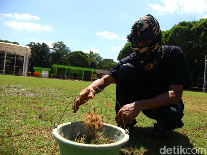 Lapangan sepakbola Blok S, Jakarta, selesai direnovasi akhir Desember 2019 lalu. Hingga kini rumput di lapangan tersebut terus dirawat.