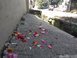 Taburan Bunga di Parit Tandai Lokasi Temuan Mayat Anjanii Bee