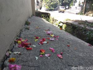 Taburan Bunga di Parit Tandai Lokasi Temuan Mayat Anjanii Bee Taburan Bunga di Parit Tandai Lokasi Temuan Mayat Anjanii Bee