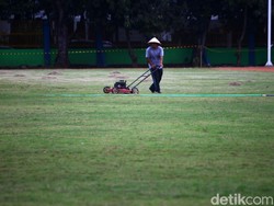 Pekerja meratakan tinggi rumput.