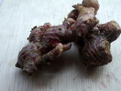 Disebut Ampuh Cegah Corona, Ini Manfaat Jahe Merah bagi Kesehatan