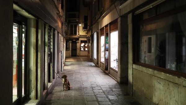 Begini Potret Untung-Rugi Indonesia Jika Lockdown