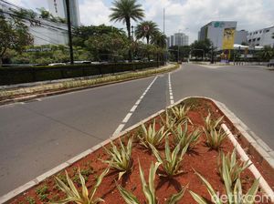 Ada Jalur Sepeda Nabrak Trotoar di Menteng, Pemkot Jakpus: Belum Dihapus Ada Jalur Sepeda Nabrak Trotoar di Menteng, Pemkot Jakpus: Belum Dihapus