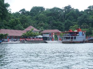 Kisah dari Nusakambangan: Narkoba, Binatang Buas, hingga Sinyal dari Listrik Mati Kisah dari Nusakambangan: Narkoba, Binatang Buas, hingga Sinyal dari Listrik Mati