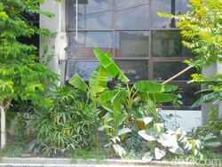 Terdengar Suara Ledakan di Puskesmas Dukuh Kupang Surabaya