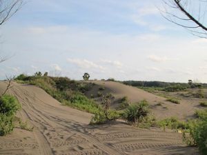 Asyiknya Susur Gumuk Pasir Parangkusumo di Jogja dengan Jip