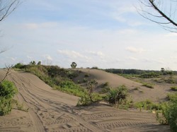 Asyiknya Susur Gumuk Pasir Parangkusumo di Jogja dengan Jip