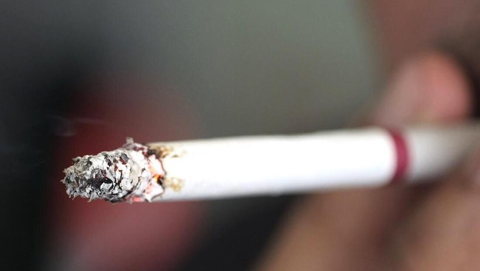 Rokok Rokok