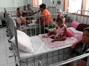 Kasus DBD di Kabupaten Sikka, NTT Terus Bertambah