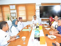 Banyuwangi Bakal Jadi Sentra Pisang Cavendish Berorientasi Ekspor