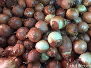 Bea Cukai Kalbagbar Gagalkan Penyelundupan 21 Ton Bawang Bombai Bea Cukai Kalbagbar Gagalkan Penyelundupan 21 Ton Bawang Bombai