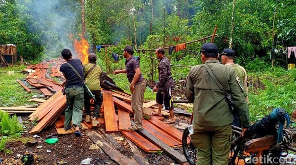 BBKSDA Bakar Pondok Persembunyian Pembalak Liar di Riau