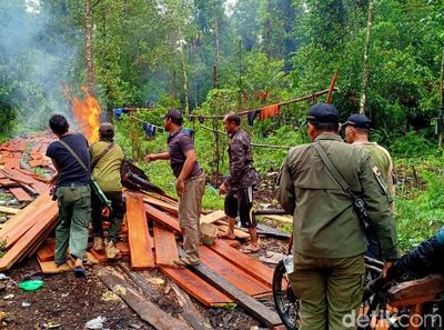 BBKSDA Bakar Pondok Persembunyian Pembalak Liar di Riau