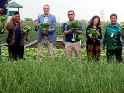 Wamen Pertanian Belanda Sambangi Perusahaan Benih Lokal di Purwakarta
