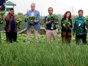 Wamen Pertanian Belanda Sambangi Perusahaan Benih Lokal di Purwakarta Wamen Pertanian Belanda Sambangi Perusahaan Benih Lokal di Purwakarta