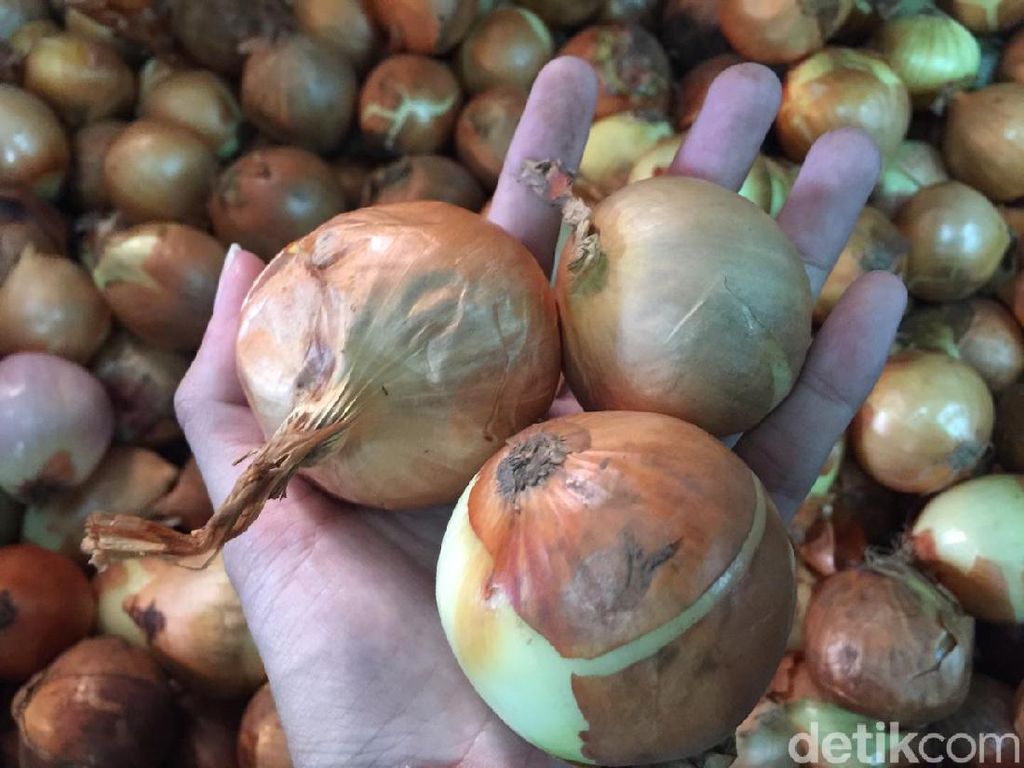 Izin Impor Sudah Terbit, Harga Bawang Bombai Masih Melejit Izin Impor Sudah Terbit, Harga Bawang Bombai Masih Melejit