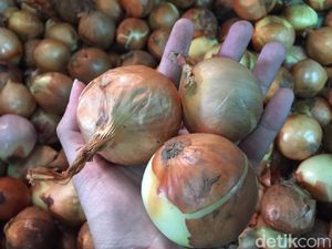 Tak Berani Pasok Bawang, Importir Minta Kepastian Pemerintah Tak Berani Pasok Bawang, Importir Minta Kepastian Pemerintah