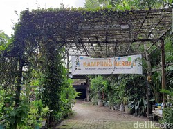 Kampung Herbal di Surabaya Punya Tanaman Empon-empon Komplit, Intip Yuk