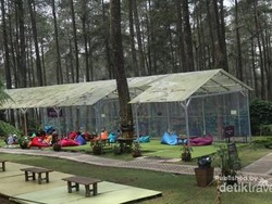 Segarkan Pikiran di Orchid Forest Bandung