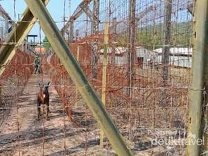 Phu Quoc, Penjara Komunis Tersadis yang Pernah Ada