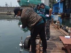 Tangani Pencemaran, 20 Aparat KKP Dilatih Pengambilan Sampling Air