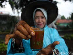 DPR Minta Jamu Juga Diteliti Jadi Penangkal Corona