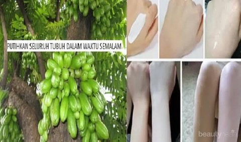 Cara Menggunakan Belimbing Wuluh Untuk Memutihkan Kulit Secara Alami