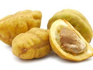 Mengenal Buah Namnam dan 5 Manfaatnya, Salah Satunya Imunitas Tubuh