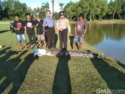 4 Caddy Tangkap Buaya Muara 4 Meter di Lapangan Golf Bontang Kaltim