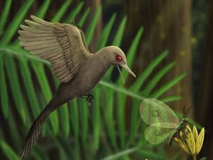 Fosil Dinosaurus Terkecil di Dunia Ditemukan di Myanmar