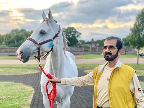 Heboh PM Dubai, Rashid Al Maktoum Paksa Nikahkan Anak di Usia 11 Tahun