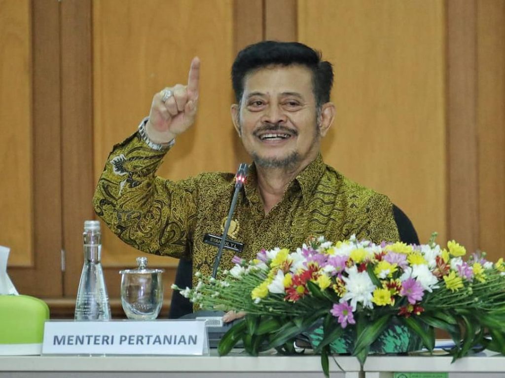 Mentan Sebut China Mau Impor Beras Indonesia 2,5 Juta Ton