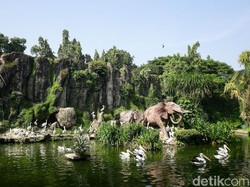 Kebun Binatang Ragunan Buka Mulai 20 Juni, Simak Aturan Barunya