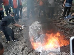 Solo KLB Corona, Kelelawar di Pasar Depok Dimusnahkan