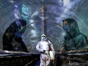 Ragunan hingga Ancol Kerja Keras Halau Corona