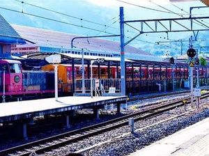 Hutan Bambu Arashiyama Pas untuk Liburan Romantis Hutan Bambu Arashiyama Pas untuk Liburan Romantis