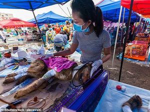 Tak Takut Corona, Perusahaan di China Dorong Masyarakat Tetap Makan Daging Anjing