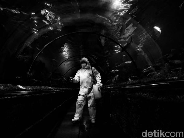 Ragam Cara Negara di Dunia Berperang Melawan Corona