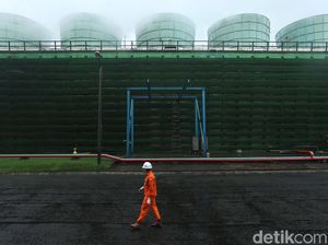 Simak! 6 Hal Ini Bisa Bantu RI Bebas Emisi Karbon di 2060