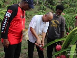 Ini Spot Wisata Baru di Raja Ampat