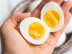 Pembakar Lemak Ampuh! Turun 30 Kg dalam 2 Minggu