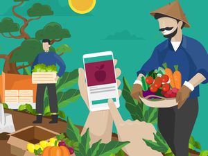 Berkat Teknologi, Belanja Sayur Bisa di Hape Berkat Teknologi, Belanja Sayur Bisa di Hape
